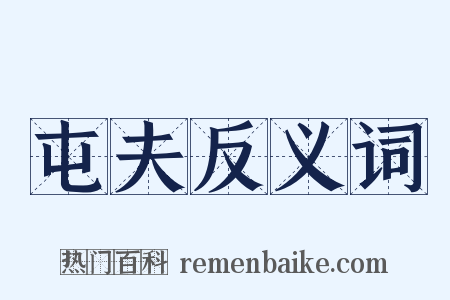 屯夫反义词是什么意思的图片